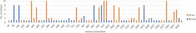 Identification of Conserved Amino Acid Substitutions During Serial Infection of Pregnant Cattle and Sheep With Bovine Viral Diarrhea Virus